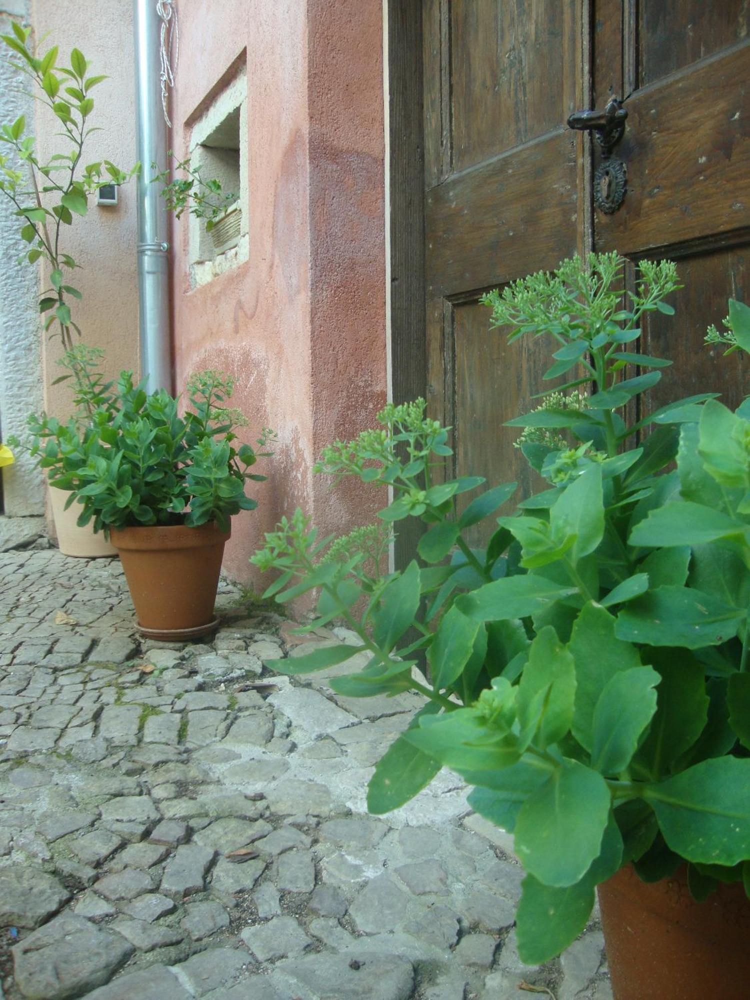 Bed & Breakfast Antico Motovun Exterior photo