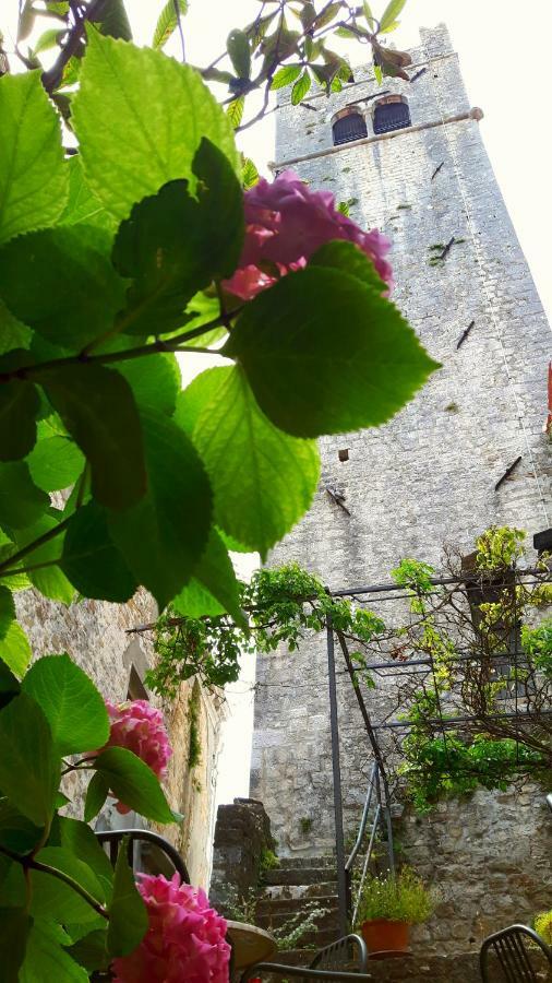 Bed & Breakfast Antico Motovun Exterior photo